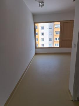 KORA prihaja kmalu foto in vir KDS Črneče (1)
